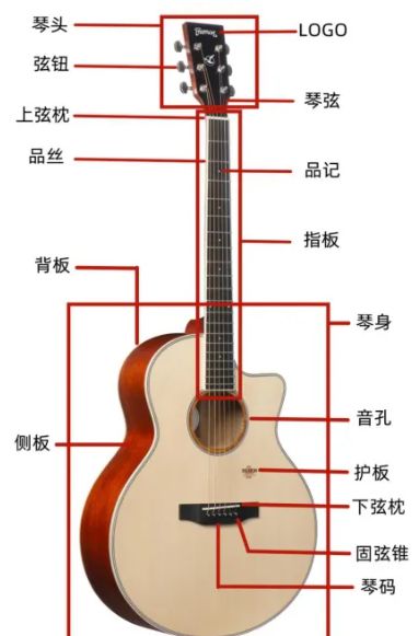 高德娱乐2023年吉他谱浅易初学根基学问